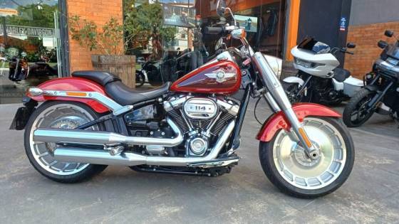 HARLEY-DAVIDSON SOFTAIL FAT BOY 114 